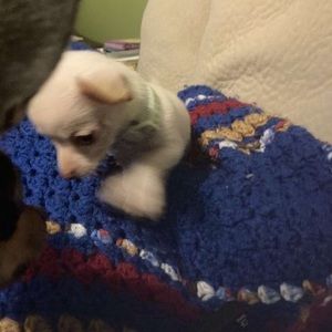 Meet your Posher, Lynn